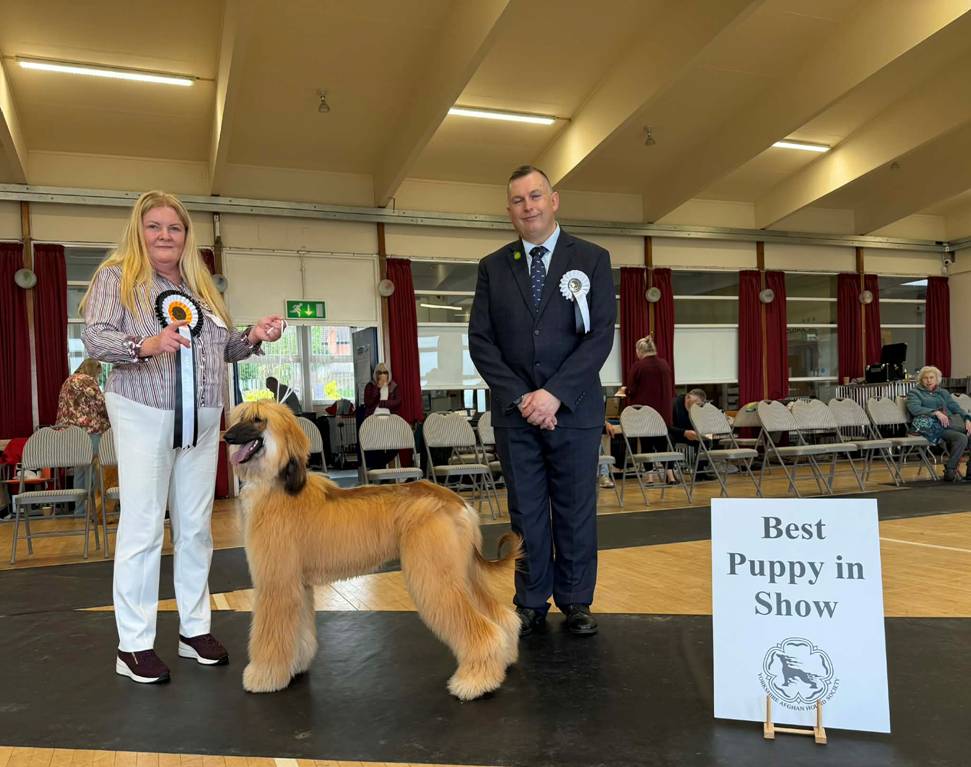 BPISa26first.jpg