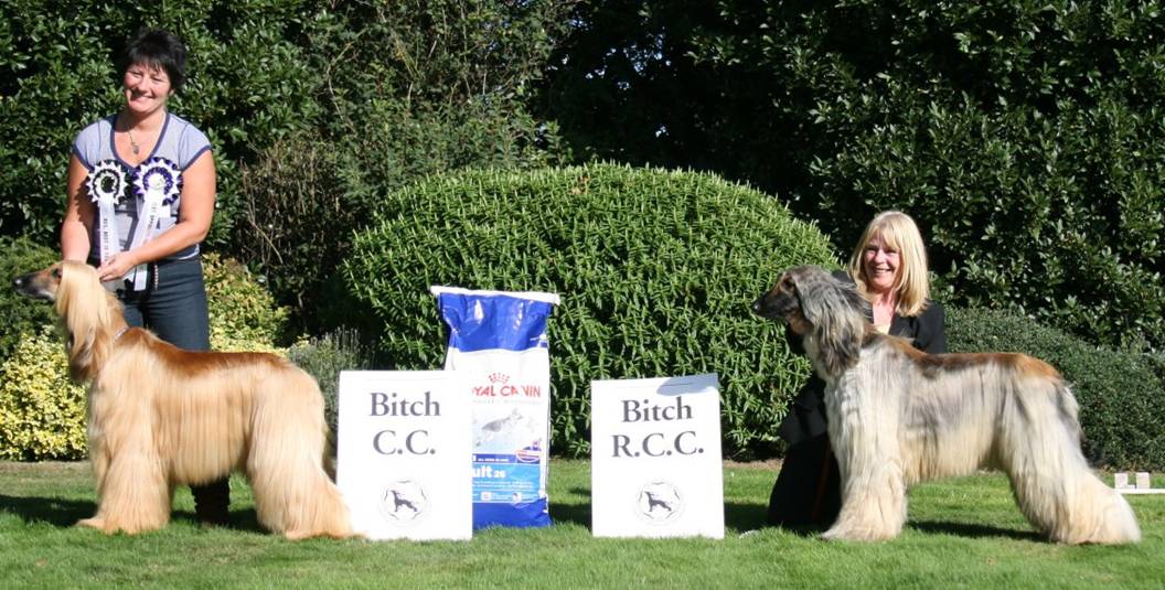 bcc09.jpg