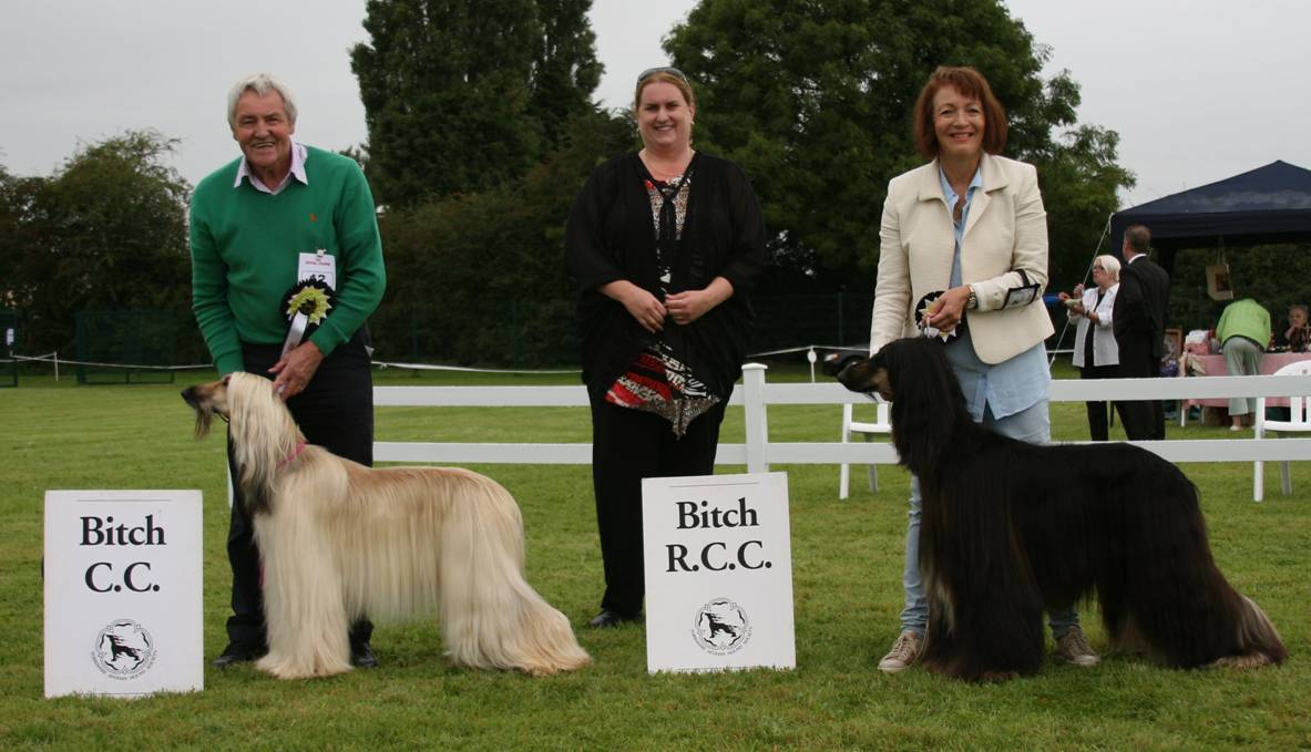 bccrcc16.jpg